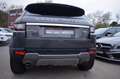 Land Rover Range Rover Evoque 2.0 TD4 150 HSE BVA MARK V Grau - thumbnail 14