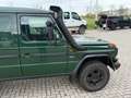 Mercedes-Benz G 300 W461 professional kasten Verde - thumbnail 6