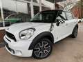 MINI Cooper S Countryman ALL4 Autom. Pano/Leder Weiß - thumbnail 3