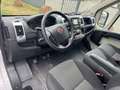 Fiat Ducato COMBI 2.3 MJT 130 L2H2 // CAMERA DE RECUL // REGUL - thumbnail 24