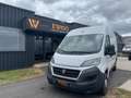 Fiat Ducato COMBI 2.3 MJT 130 L2H2 // CAMERA DE RECUL // REGUL - thumbnail 14