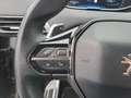 Peugeot 3008 8-fach bereift Grau - thumbnail 20