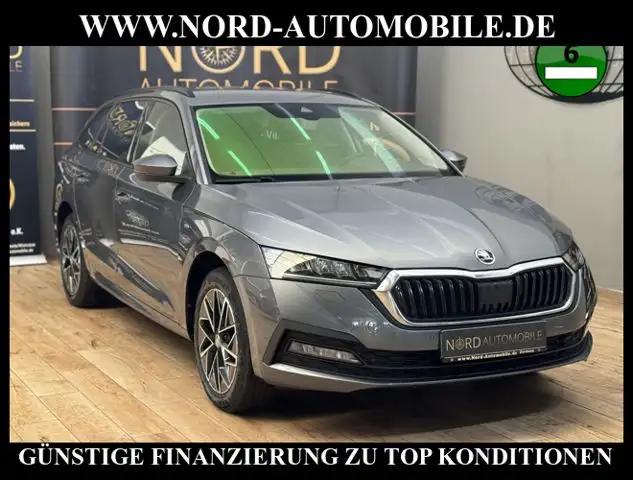 2023 Skoda Octavia in Grey for sale