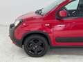 Fiat Panda 1.0 FireFly S&S Hybrid Rosso - thumbnail 9