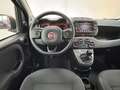 Fiat Panda 1.0 FireFly S&S Hybrid Rosso - thumbnail 10