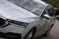 Skoda Octavia Combi 2,0 TDI 4x4 Ambition DSG Silber - thumbnail 13