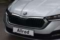 Skoda Octavia Combi 2,0 TDI 4x4 Ambition DSG Silber - thumbnail 12