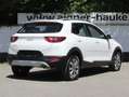 Kia Stonic 1,0 TGDI GPF ISG Silber DCT Aut. Weiß - thumbnail 5