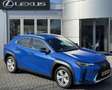 Lexus UX 250h Business Line PARK-SENSOR DAB+ NAVI CARPLAY AD-CRU Modrá - thumbnail 1