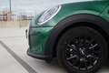 MINI Cooper Cabrio AUT / SPORTSEATS / CARPLAY / PIANO BLACK / NEW CAR Yeşil - thumbnail 13