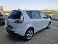 Renault Scenic 1.5 dci Wave 110cv 🔥 PRONTA CONSEGNA🔥 Wit - thumbnail 3