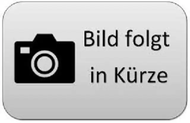 Toyota Proace Max *Meister* 2,2-D L2H2 verblecht 4-türig