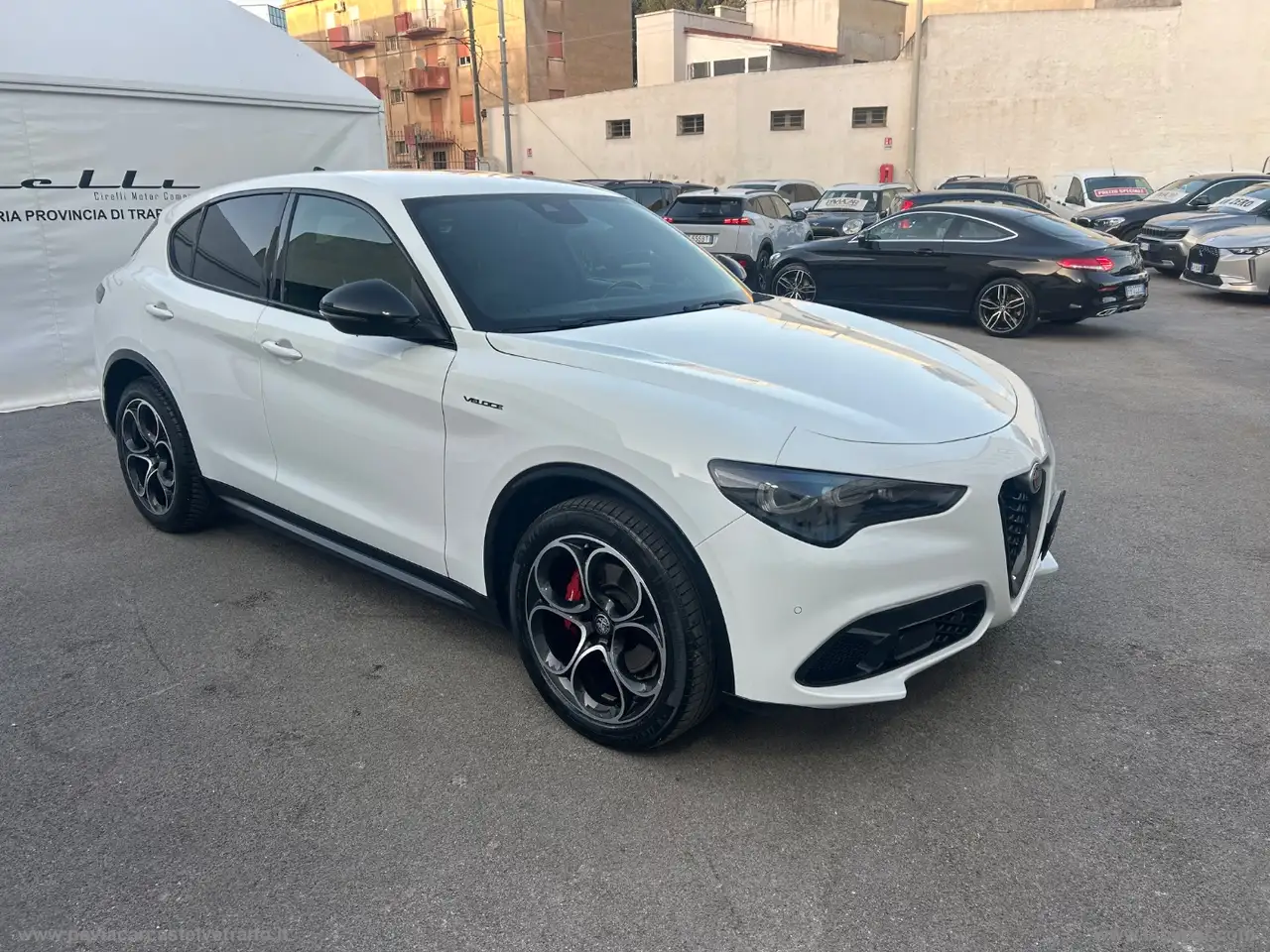 Alfa Romeo Stelvio 2024 — фото 6
