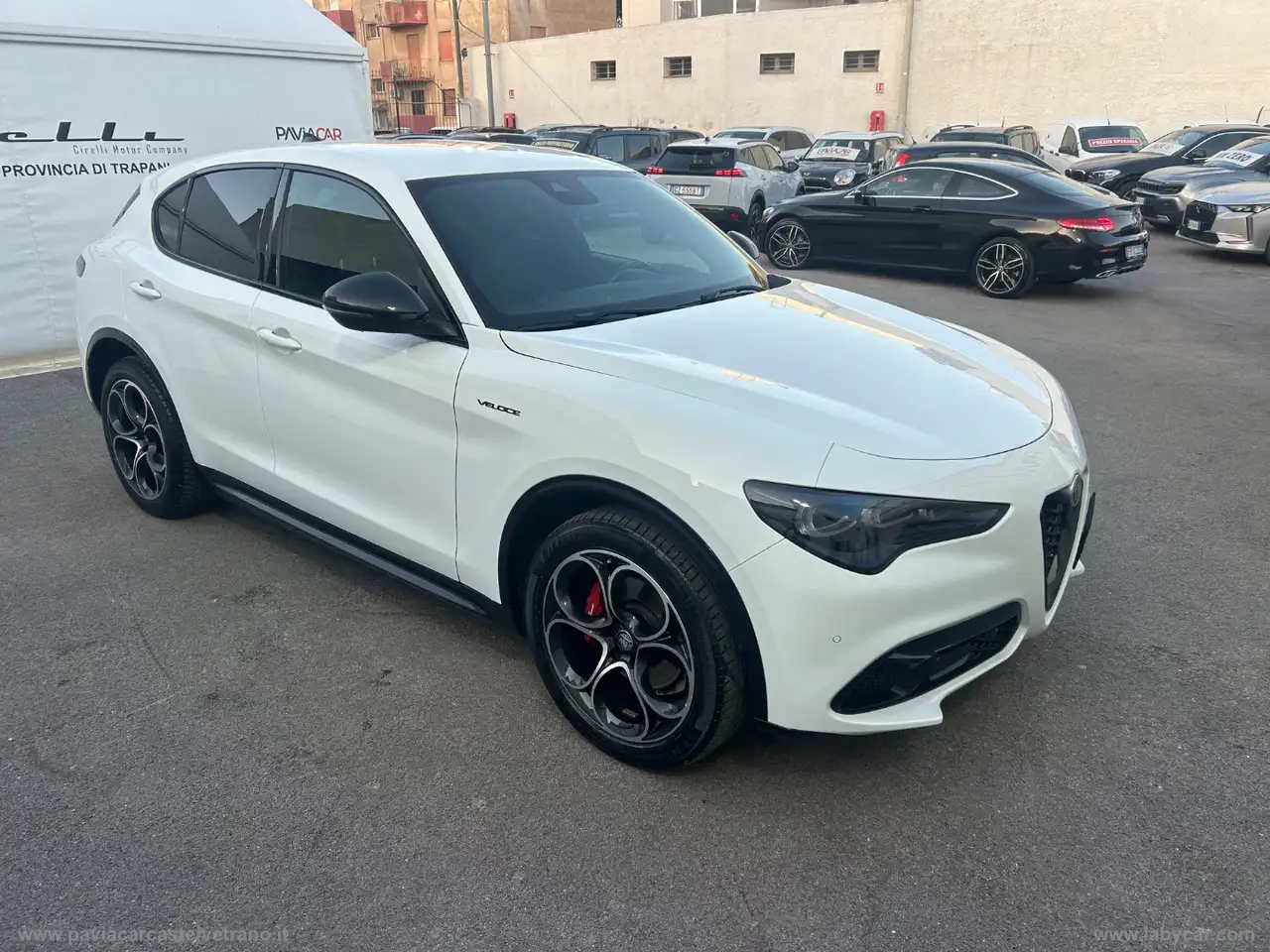 Alfa Romeo Stelvio 2024 — фото 7