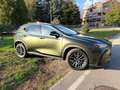 Lexus NX 200t NX II 2022 450h  2.5 phev Premium 4wd 309cv e-cvt Verde - thumbnail 6