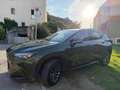 Lexus NX 200t NX II 2022 450h  2.5 phev Premium 4wd 309cv e-cvt Verde - thumbnail 1