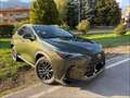 Lexus NX 200t NX II 2022 450h  2.5 phev Premium 4wd 309cv e-cvt Verde - thumbnail 7