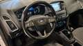 Ford Focus SW 1.5 TDCI TITANIUM S&S 120CV Weiß - thumbnail 12