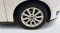 Ford Focus SW 1.5 TDCI TITANIUM S&S 120CV Weiß - thumbnail 5