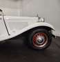 MG TD Blanco - thumbnail 27