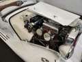 MG TD Blanco - thumbnail 50