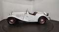 MG TD Blanco - thumbnail 32