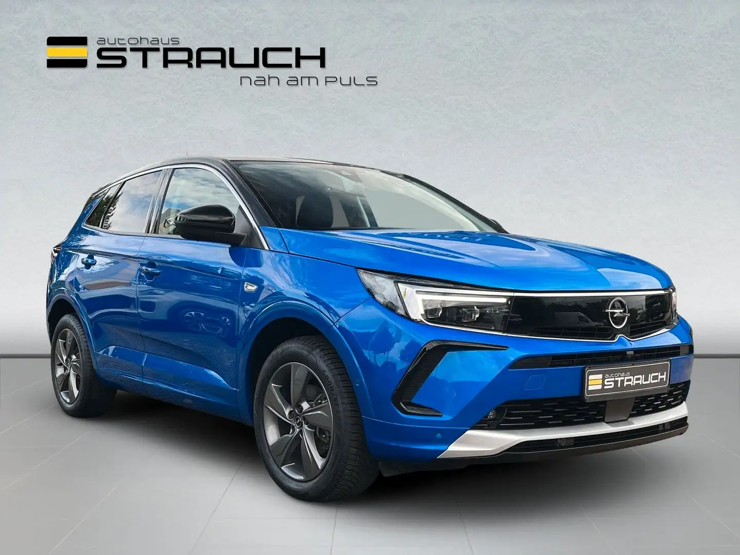 Opel Grandland X Grandland Elegance Matrix/Navi/360°Kam/AHZV/Alca Blau - 1