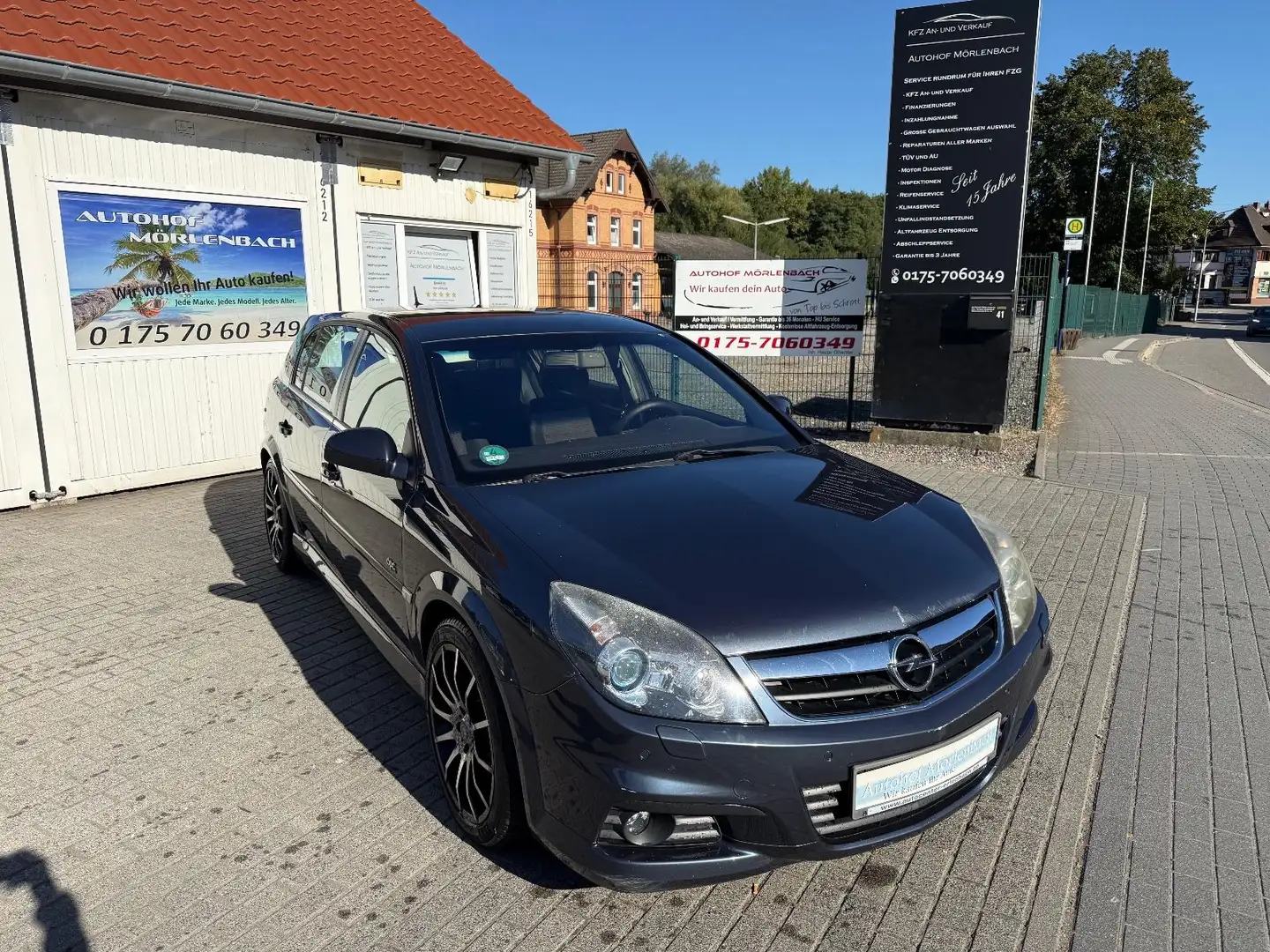 Opel Signum Edition Plus Blau - 2