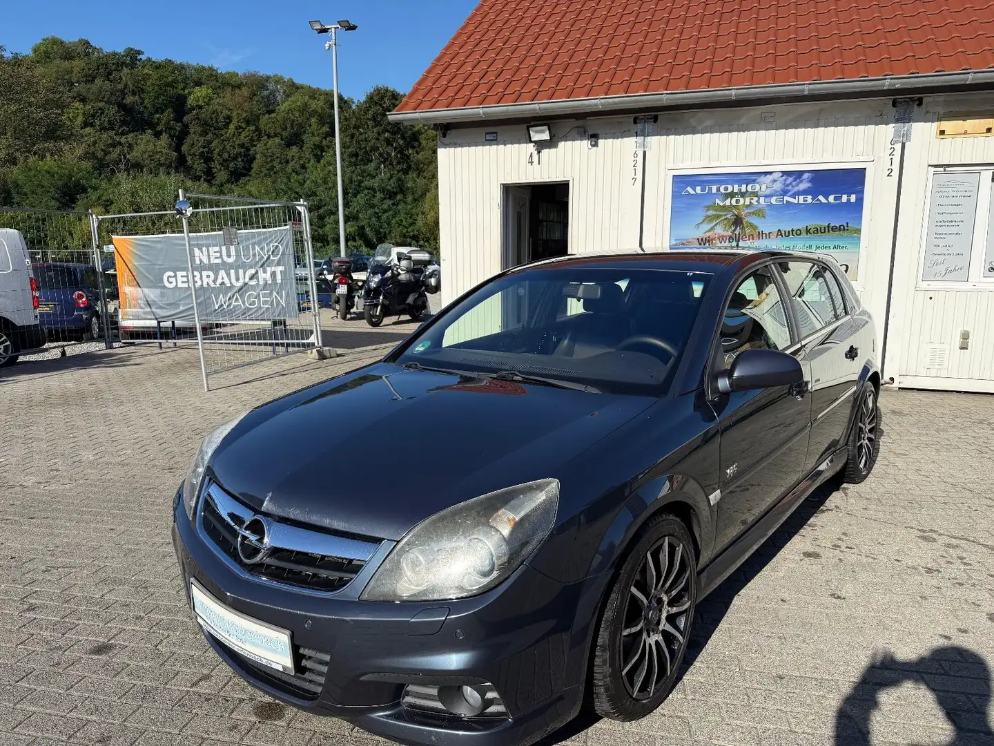 Opel Signum Edition Plus Blau - 1