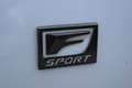 Lexus RC 300h F SPORT Line NL-AUTO CRUISE TRIPLE-LED STOELVENT B Weiß - thumbnail 12