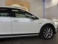 Volkswagen Golf Variant Golf Vari Alltrack  2,0 TDI DSG 4Motion Alltrack Weiß - thumbnail 9