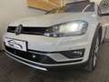 Volkswagen Golf Variant Golf Vari Alltrack  2,0 TDI DSG 4Motion Alltrack Weiß - thumbnail 6