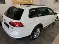 Volkswagen Golf Variant Golf Vari Alltrack  2,0 TDI DSG 4Motion Alltrack Weiß - thumbnail 7