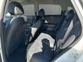 Kia Niro Spirit PHEV Plug-in Hybrid Xenon Leder Klimasitze Weiß - thumbnail 12