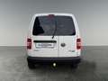 Volkswagen Caddy Caddy Kombi Maxi 2,0 TDI DPF 4MOTION DSG Weiß - thumbnail 4