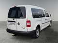 Volkswagen Caddy Caddy Kombi Maxi 2,0 TDI DPF 4MOTION DSG Weiß - thumbnail 5
