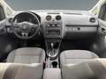Volkswagen Caddy Caddy Kombi Maxi 2,0 TDI DPF 4MOTION DSG Weiß - thumbnail 10