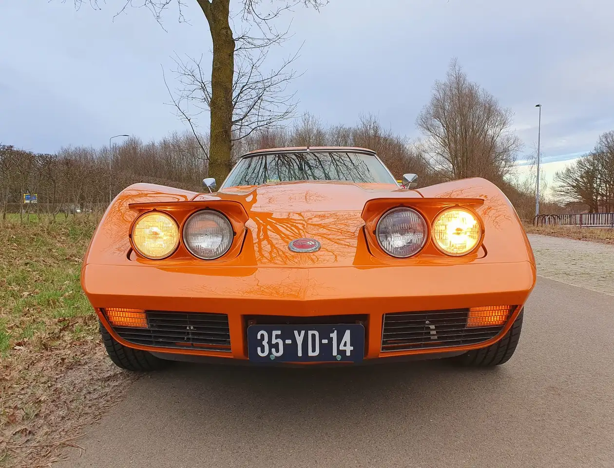 Chevrolet Stingray 350ci, foto 8