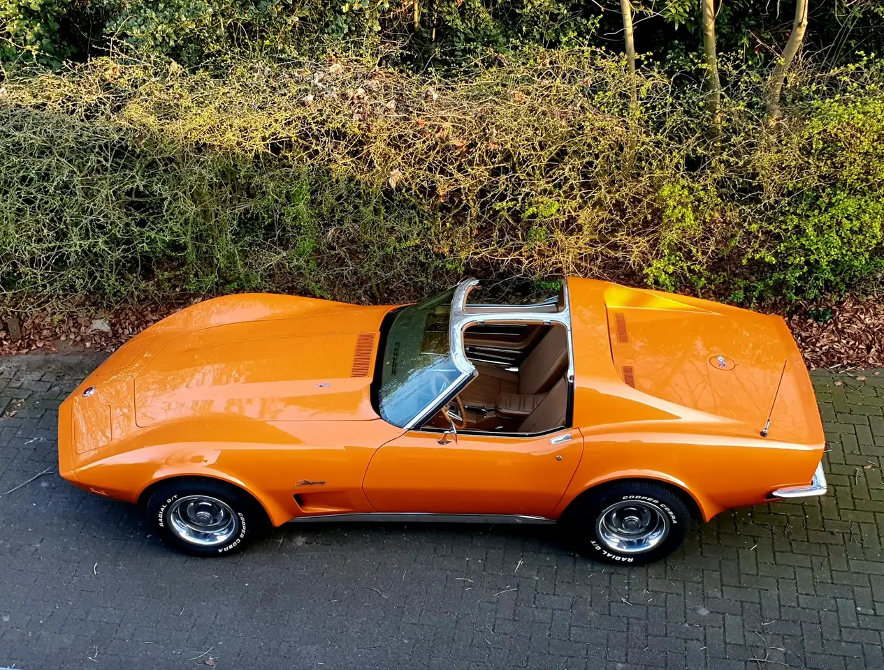 Chevrolet Stingray 350ci, foto 4