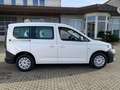 Volkswagen Caddy 5-Sitzer ACC AppConnect PDC Allwetter SideAssist Weiß - thumbnail 5