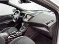 Ford Kuga 2,0 TDCi Titanium Powershift Aut. AWD Silber - thumbnail 12