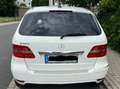 Mercedes-Benz B 180 B 180 Autotronic Bílá - thumbnail 3