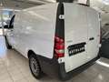 Mercedes-Benz Vito Kasten 119 CDI 4x4 lang Weiß - thumbnail 3