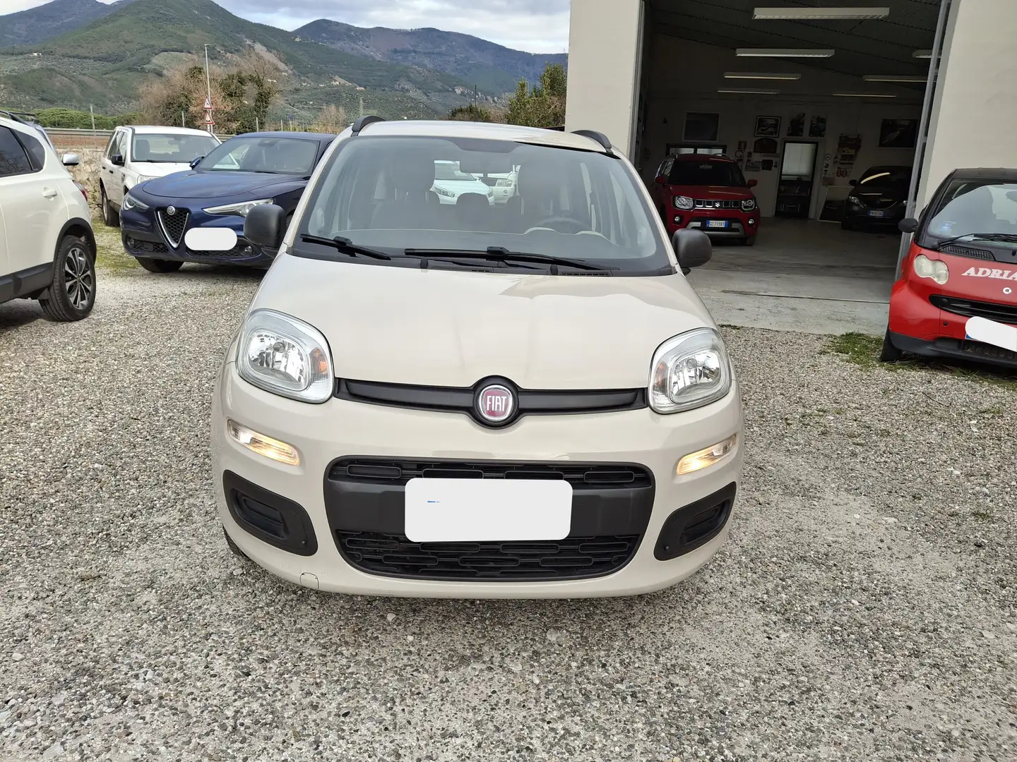 Fiat Panda Panda 1.2 Lounge 69cv E6 Beige - 2