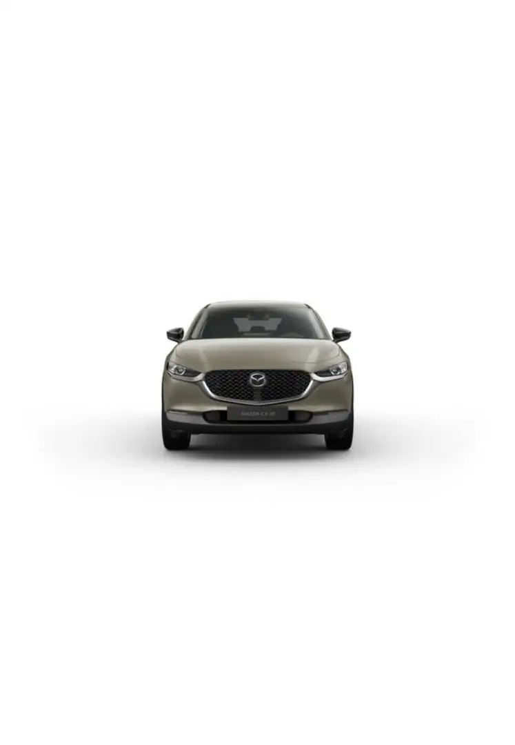 Mazda CX-30 2.5 140PS Homura Voll-LED Navi ACAA PDC Al Beige - 2