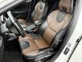 Volvo V40 Cross Country Pano/Leder/Navi Weiß - thumbnail 10
