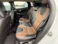 Volvo V40 Cross Country Pano/Leder/Navi Weiß - thumbnail 11