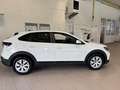 Volkswagen Taigo 1.0 TSI Kurzzulassung APP Einparkhilfe Ganzjahresr Weiß - thumbnail 2