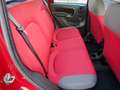 Fiat Panda 1.2 Easy 69cv E6 "PREZZO REALE SENZA VINCOLI" Rouge - thumbnail 13
