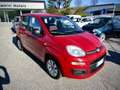 Fiat Panda 1.2 Easy 69cv E6 "PREZZO REALE SENZA VINCOLI" Rouge - thumbnail 6